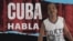 Banner 493
