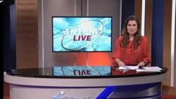 Antena Live