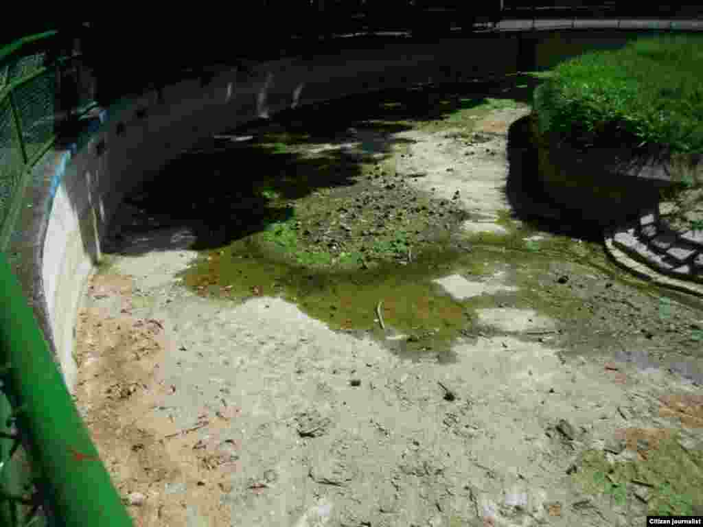 Zoológico de La Habana