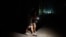 Cubanos caminan por una calle iluminadas con linternas durante un apagón en La Habana. Foto: AP/Ramón Espinosa 