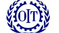 OIT niega entrada a conferencia a activista cubano de derechos sindicales