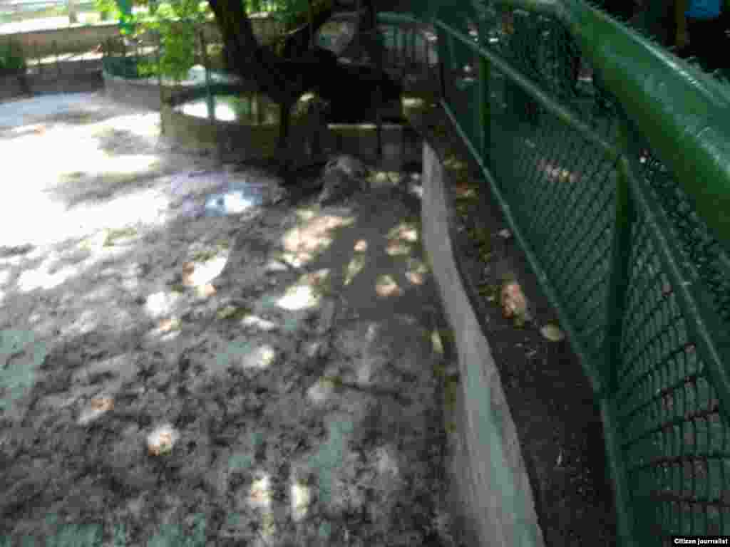 Zoológico de La Habana