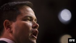 Marco Rubio, senador republicano de Florida.