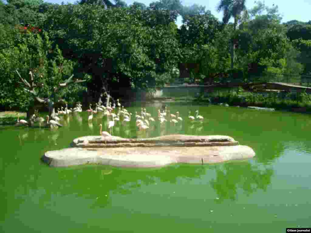 Zoológico de La Habana