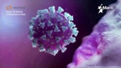 Llega la variante sudafricana del coronavirus a Cuba