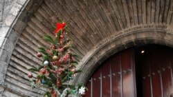 Desde la isla activistas envían mensaje navideño a todos los cubanos