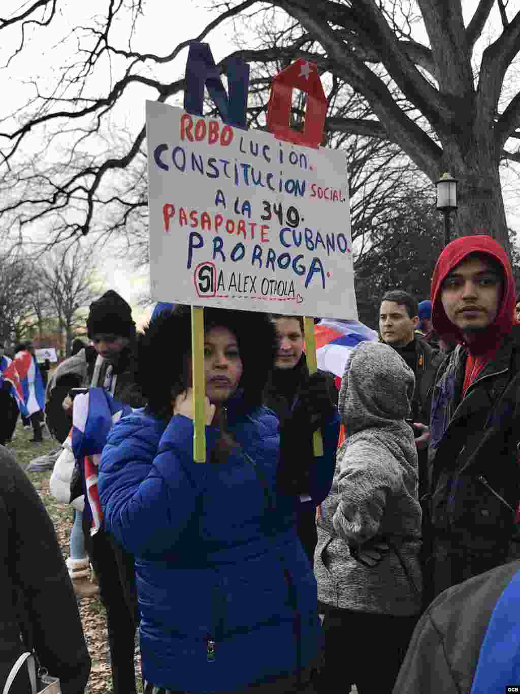 Marcha de los Prohibidos en Washington. Foto Michelle Sagué