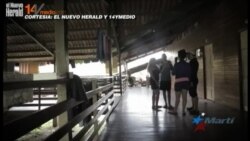 Migrantes cubanos afirman que viven como “ratas ocultas” en ciudad de Panamá