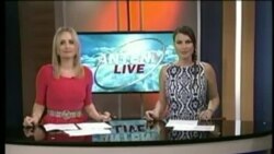 Antena Live