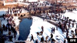 Cientos de escolares trabajan en el drenaje del cauce del río Pothong en Pyongyang, para trasladar material y usarlo como fertilizante orgánico 