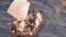 Este miércoles las embarcaciones realizaron la regata "Copa Castillo del Morro" en aguas del litoral de La Habana, con salida desde la desembocadura del río Almendares hasta la bahía de la capital cubana.