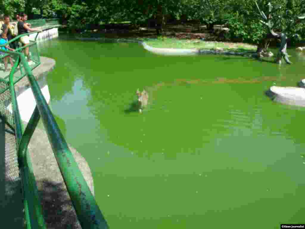 Zoológico de La Habana