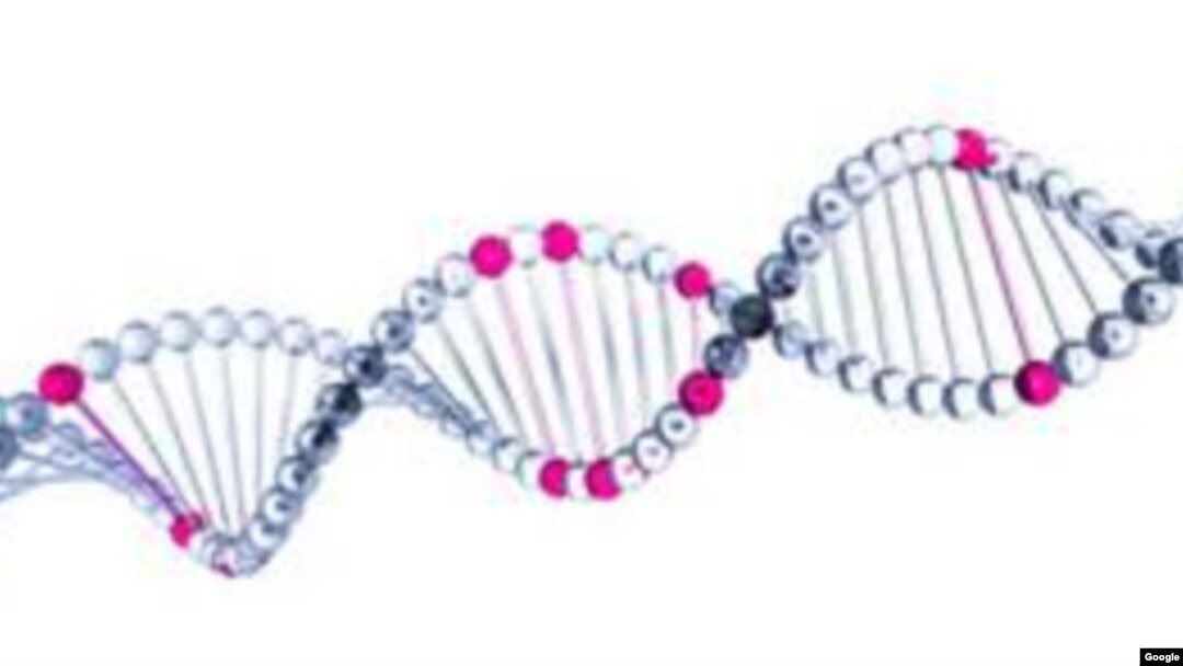 La investigación de mutaciones genéticas cancerosas fue realizada en la Universidad Libre de Bruselas.