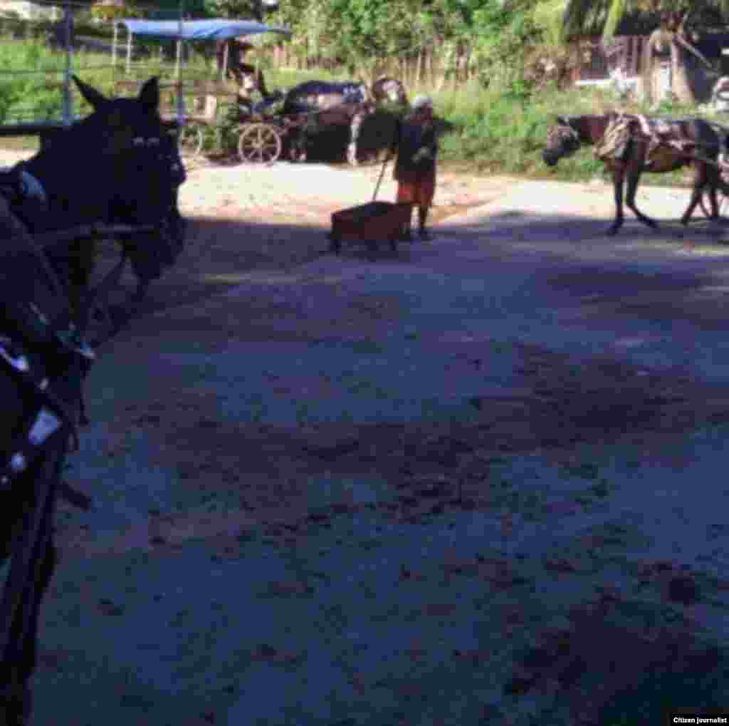 Reporta Cuba transporte en Manzanillo Foto Rudicel Batista