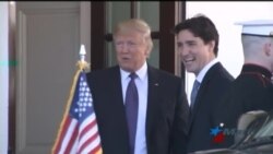 Trump y Trudeau se encuentran para estrechar lazos entre EEUU y Canadá