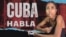 Banner 515