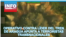BANNER PERNALETE 15 JUN