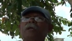 Escasez en Bayamo de la miel de purga