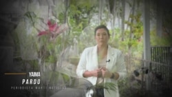 Ayuda a Cuba: "Más allá de calmar la sed y el hambre" 

