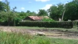 Sin agua en sus casas los cubanos salen en busca de agua potable
