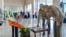La última aparición pública de Raúl Castro el 23 de junio de 2026 para asistir al funeral del Comandante Ramiro Valdés. Estudios Revolución/Handout vía REUTERS.