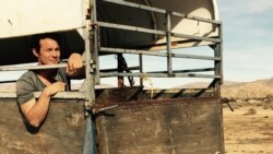 1800 Online con el actor, director y guionista cubano Edgardo González