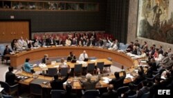 Consejo de Seguridad de la ONU