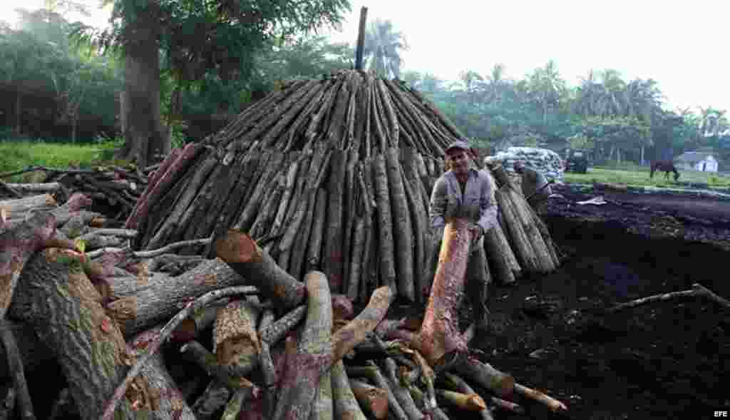 Un carbonero monta un horno para la producción de carbón vegetal, Cuba.