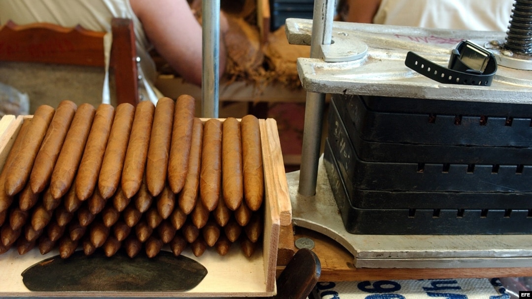 Confección de tabacos en una fábrica de La Habana.