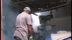 Efectividad de campaña de fumigación en Cuba