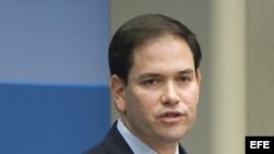 Marco Rubio, senador republicano de Florida.