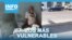 Los más vulnerables