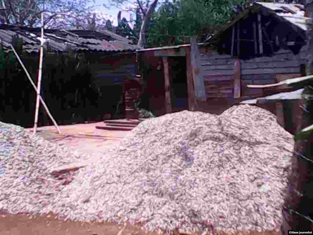 Reporta Cuba asentamiento rural La Tumba Foto Barbara Fernandez