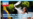 BANNER PERNALETE 5 OCTUBRE