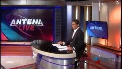 Antena Live