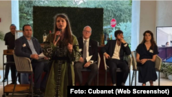 Panelistas del foro Razom for Ukraine, celebrado en Miami