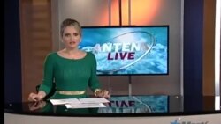 Antena Live