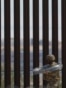 Source:
Reuters