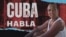 Banner 519