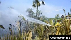 Los bomberos combaten las llamas.