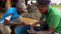 Reaccionan en Miami sobre sanciones de Trump a Maduro