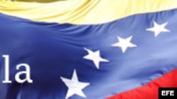 Elecciones en Venezuela