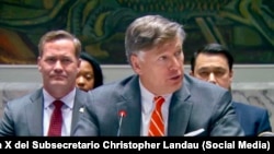 Subsecretario de Estado, Christopher Landau, ante el Consejo de Seguridad de las Naciones Unidas.