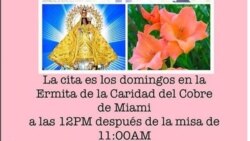 Apoyan en la Ermita de la Caridad campaña opositora en Cuba