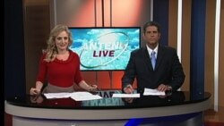 Antena Live