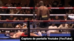 El cubano Frank Sánchez observa al estadounidense Richard Torrez Jr en la lona, tras propinarle contundente nocaut.