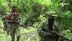 Guerra en frontera colombo venezolana, según informe de Funda Redes