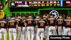 Marlins con #16 