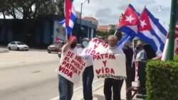 Caravana en Miami en respaldo a Patria y Vida
