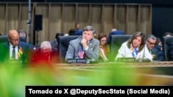 Christopher Landau en la OEA.